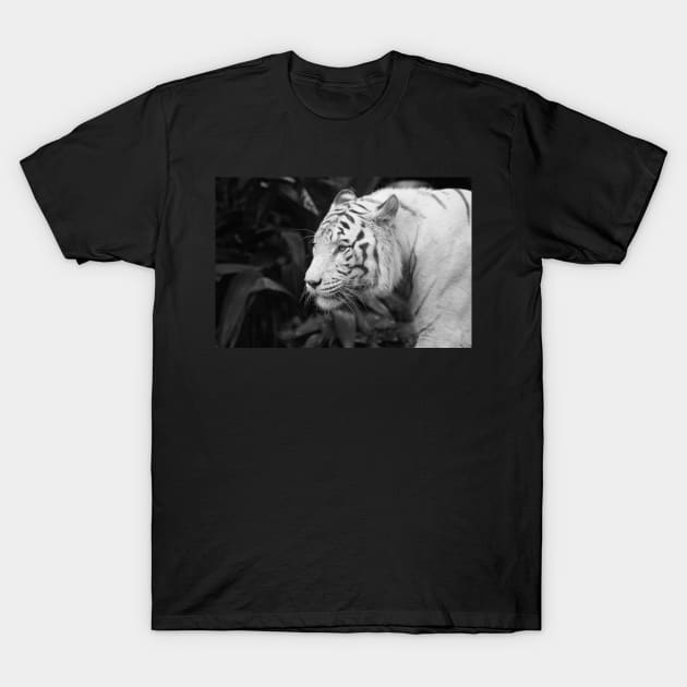 Profile T-Shirt by LeanneAllen